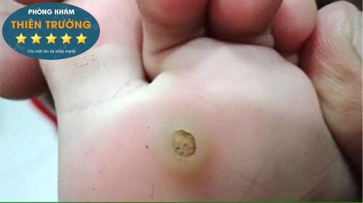 61966533_317550209150248_382188158755799040_n (2)