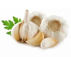 Hình ảnh: củ tỏi