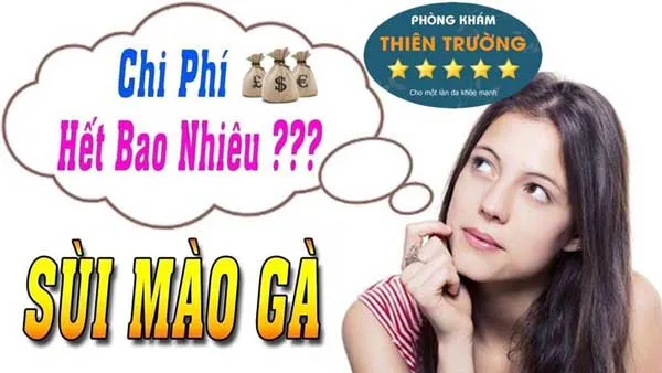 sui-mao-ga-bao-nhieu-tien-1