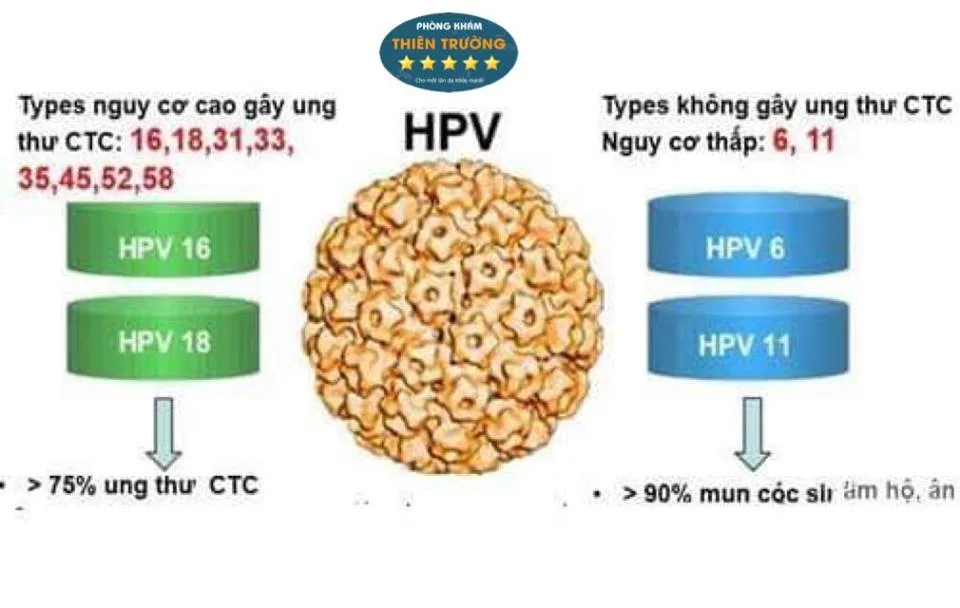 Hình ảnh: Virus HPV
