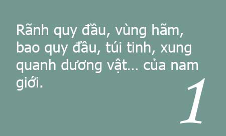 vị trí mọc sùi mào gà 01