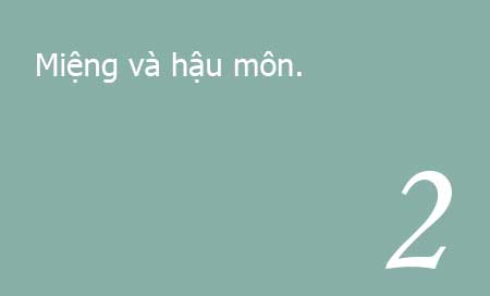 vị trí mọc sùi mào gà 02