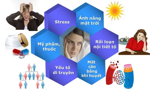 Hình ảnh: Nguyên nhân gây nám