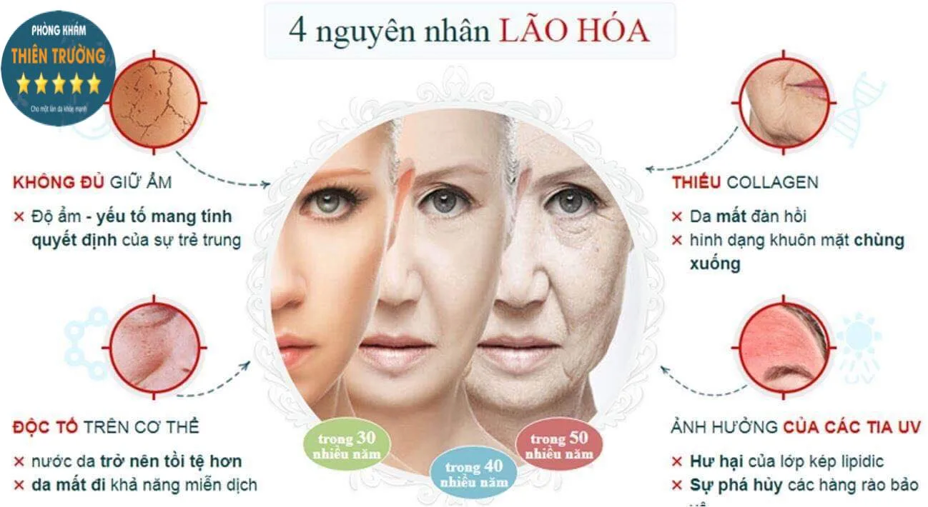 Hình ảnh: Nguyên nhân gây lão hóa da 