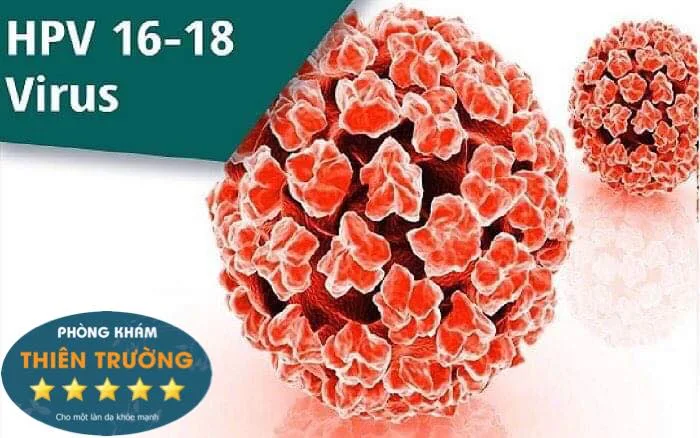 Hình ảnh: virus HPV