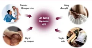 Hình ảnh: Con đường lây nhiễm sùi mào gà.