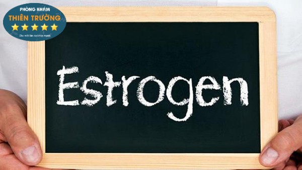 Hình ảnh: Estrogen là nguyên nhân só 1 gây nám tàn nhang