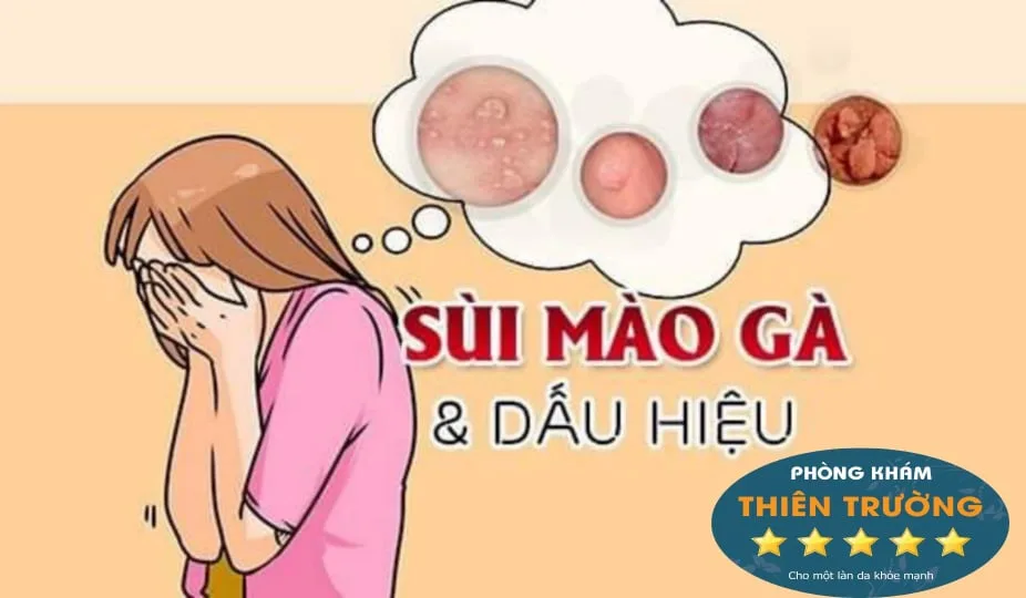 68927592_376853459658250_8239002490805157888_n