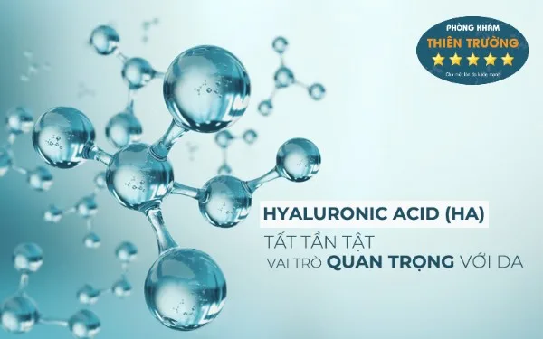 Hình ảnh: Vai trò của Hyaluronic Acid